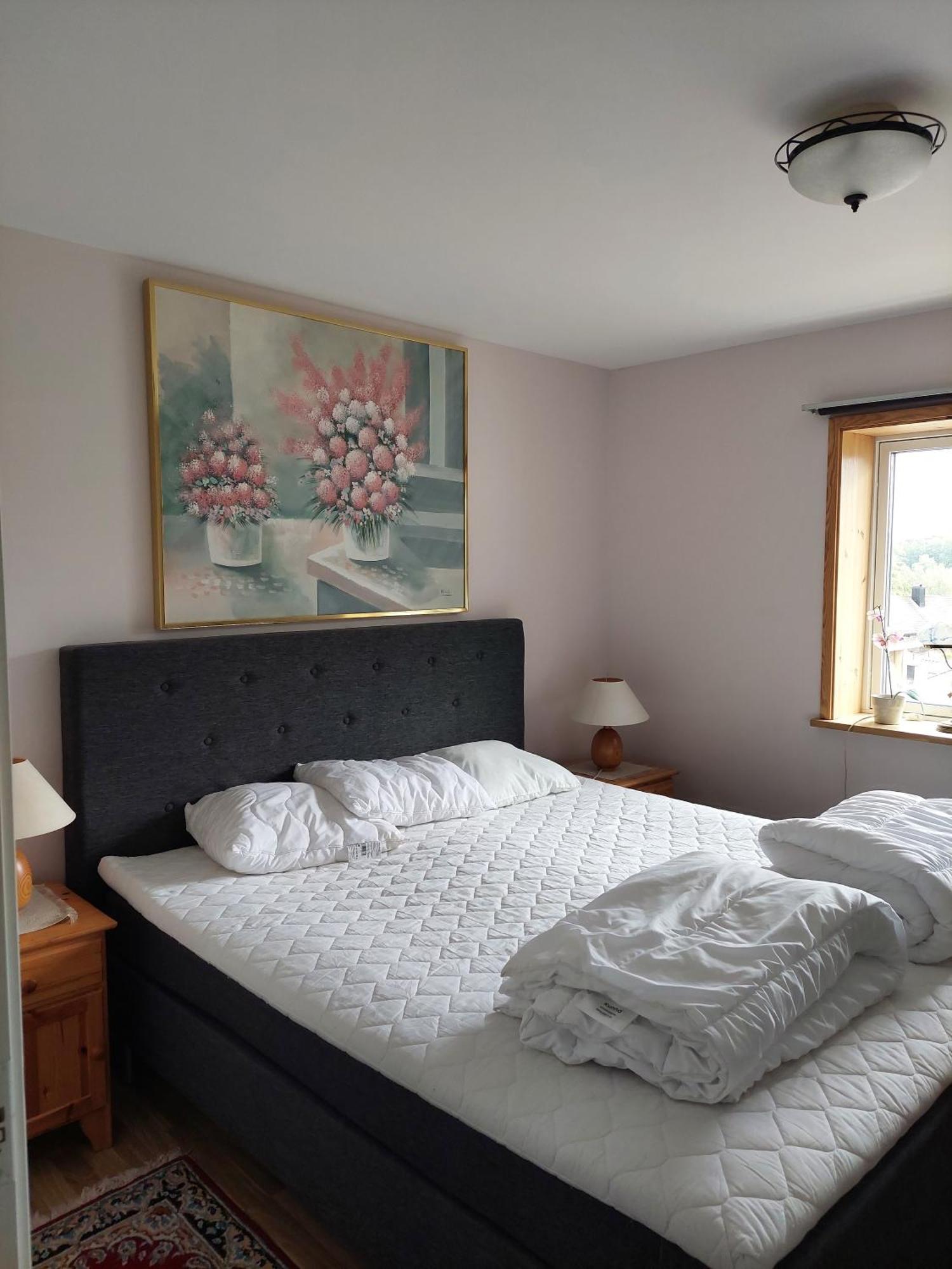 Villa Med Sjoutsikt Immeln Buitenkant foto